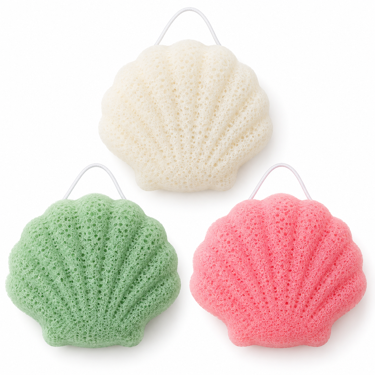 Konjac Sponge | Shell