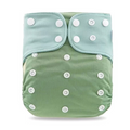 Pocket AWJ Grey Mesh Cloth Nappy - Sea Green